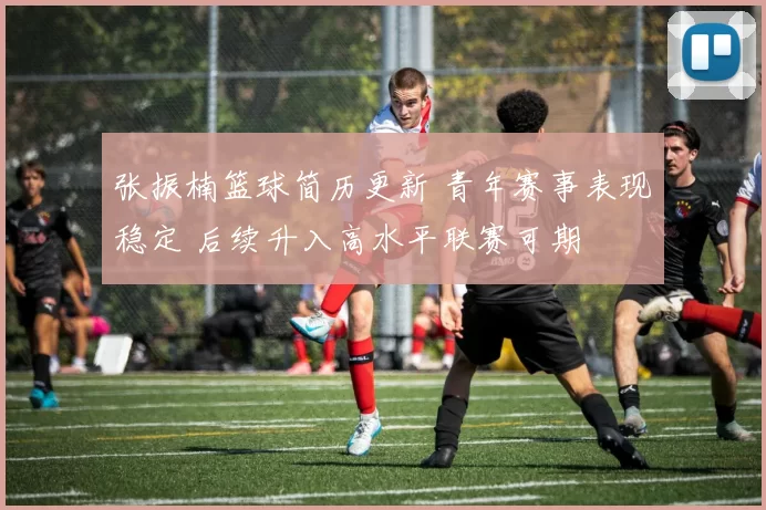 张振楠篮球简历更新 青年赛事表现稳定 后续升入高水平联赛可期