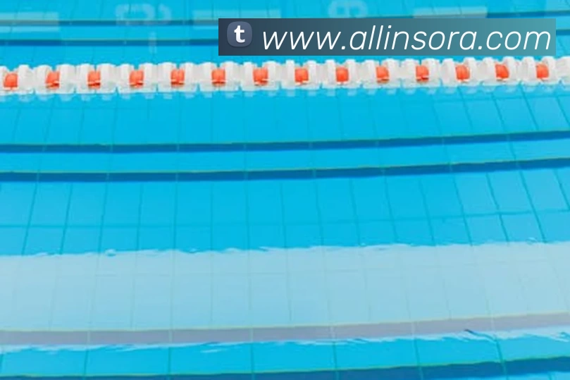 中国·亚星会员 - www.yaxin868.com|官方网站平台生态图